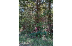 FM 319, ELKHART, TX 75839
