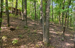 Tbd Freedom Rd, Chester, AR 72934