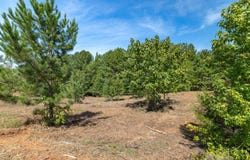 16 Berkeley Drive, Clarksville, VA 23927