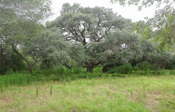 1340 County Road 253, Weimar, TX 78962