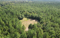 Highway 29, Brewton, AL 36420