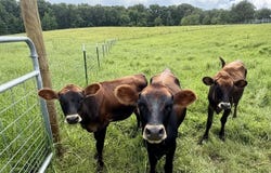 5870 MONK HOUSE Rd, Somerville, TN 38068