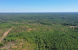 Easement Liberty Rd, Jefferson, TX 75657