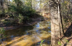 County Road 1135, Kennard, TX 75835