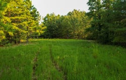 1763 FM 2118, Bagwell, TX 75412