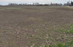 N 144 Highway lot: #2 390, Lake Village, AR 71653