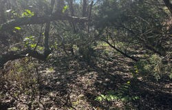 628 HILLSIDE DR, Spring Branch, TX 78070