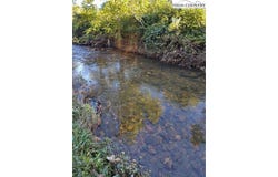 E NC 16 Highway, Jefferson, NC 28640