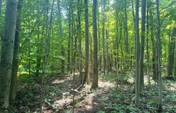 1.2 Wart Rd., Orwell, NY 13426