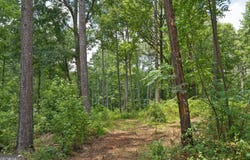 85 Askin Place, Culloden, GA 31016
