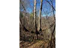 Leon Barron Rd, Sylva, NC 28779