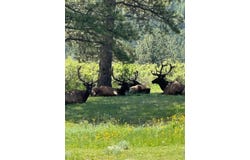 270 Choctaw Rd, Lyons, CO 80540
