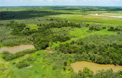 Wells Road, Holliday, TX 76366