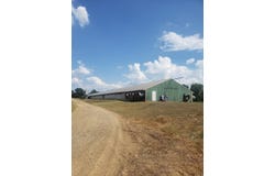 Corbell loop Road, Lockesburg, AR 71846