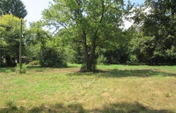Monroe, Campbell, MO 63933
