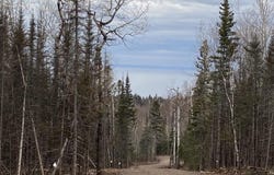 Aspen Lane, Silver Bay, MN 55614