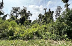 NW WEST S Drive, MAYO, FL 32066