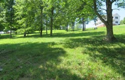 Doe Lane, Buckhannon, WV 26201