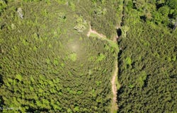 SW Auburn Drive, Bogue Chitto, MS 39629