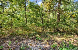 Elm Drive lot: 51, Dittmer, MO 63023