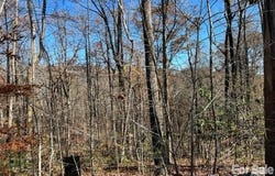 Trail Ridge Drive, Marion, NC 28752