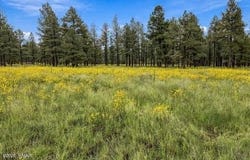 38650 State Route 373, Greer, AZ 85927