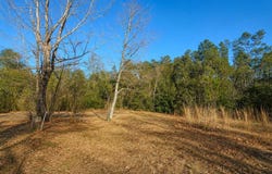 14175 SE 209TH Terrace, UMATILLA, FL 32784