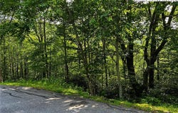 Algonquin Drive, Boone, NC 28607