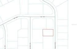 GUAVA PASS Lane, OCKLAWAHA, FL 32179