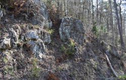Old Dallas Road, Norman, AR 71960