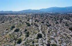 Smoke Tree, Pinon Hills, CA 92372