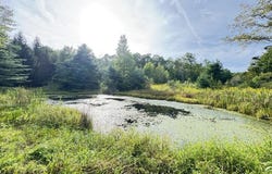 1172 Lamb Rd, Rome, PA 18837