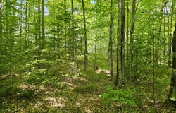 W HERZOG Road, IRON MOUNTAIN, MI 49801