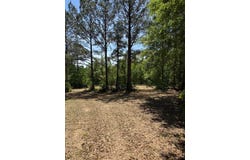 County Road 50, Abbeville, AL 36310