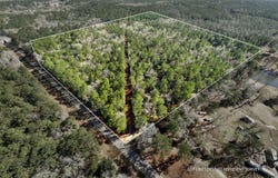 38 AC +/- Indian Hill Rd, Richton, MS 39476