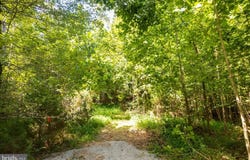 00-TBD W HOOVER, MADISON, VA 22727