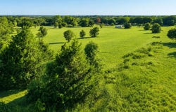 TBD L4 Pine Acres, Whitney, TX 76692