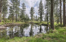 NKA Malloy Prairie Rd, Cheney, WA 99004