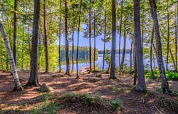 115 Fuller Lane, Denmark, ME 04022