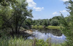 TBD Wildlife Circle, Carmine, TX 78932