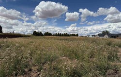 600 E Devisadero St, Reardan, WA 99029