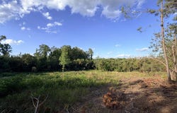 County Road 167, Baldwyn, MS 38824