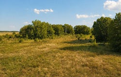 FM 410, Detroit, TX 75436