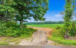 BUD EUBANK Rd, Stanton, TN 38069