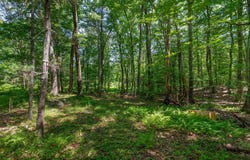 Piscataqua Road, Dover, NH 03820