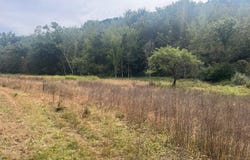 Claire Rd, Taylor, WI 54659