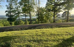 County Road 1015 lot: 21, Cedar Bluff, AL 35959