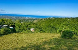 Malezas, Mayaguez, PR 00682