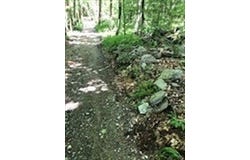 Auburn Road, Millbury, MA 01527