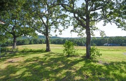 167 Landers Lane, Gainesville, MO 65655